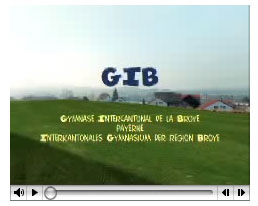film GIB